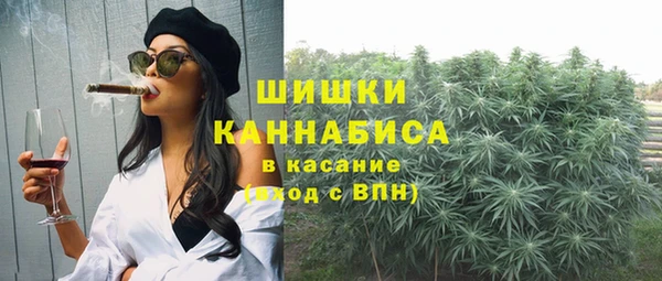 МДПВ Богородск
