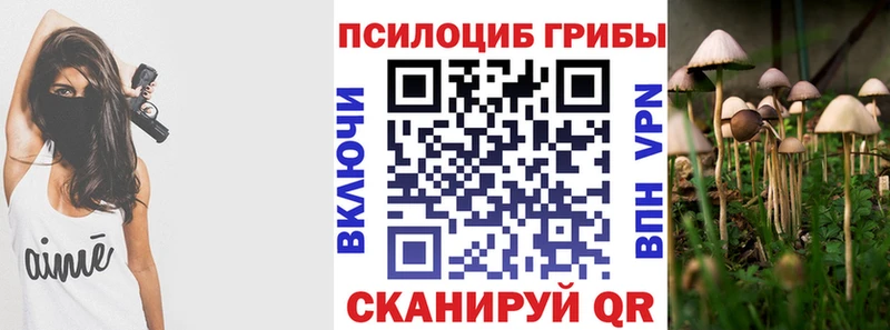 Галлюциногенные грибы мицелий  Купить где  Олёкминск 